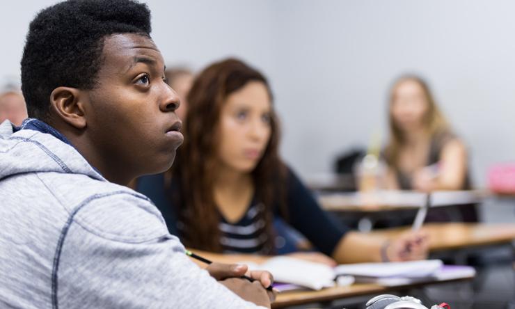 Students in Beehive